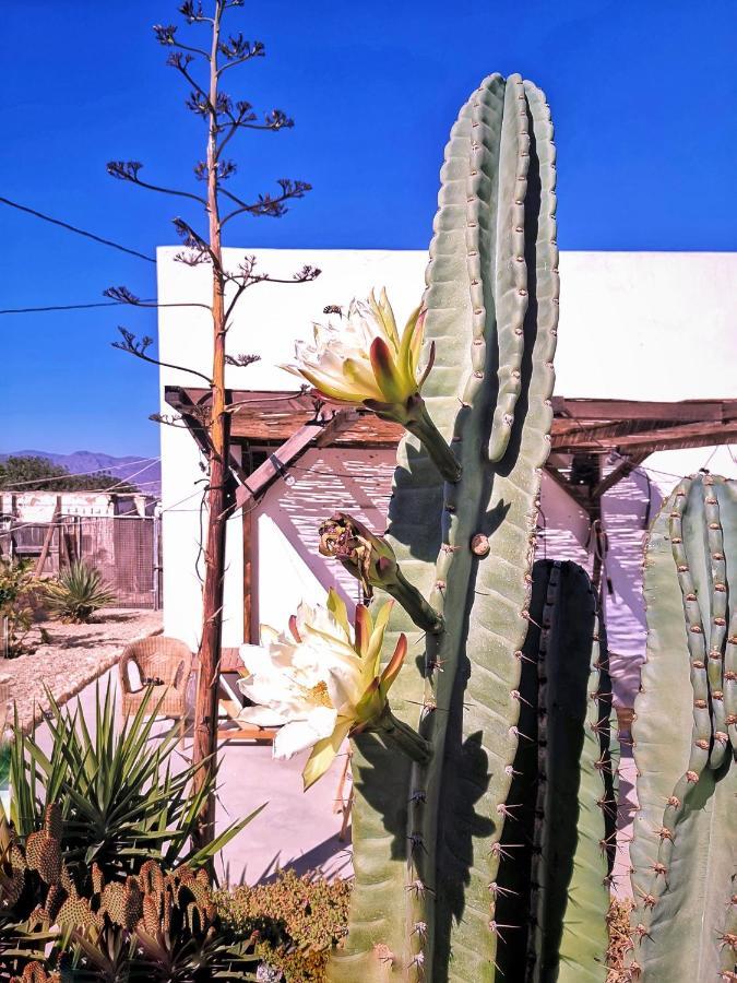 Cortijo La Ciclona Apartment Fernan Perez Exterior foto